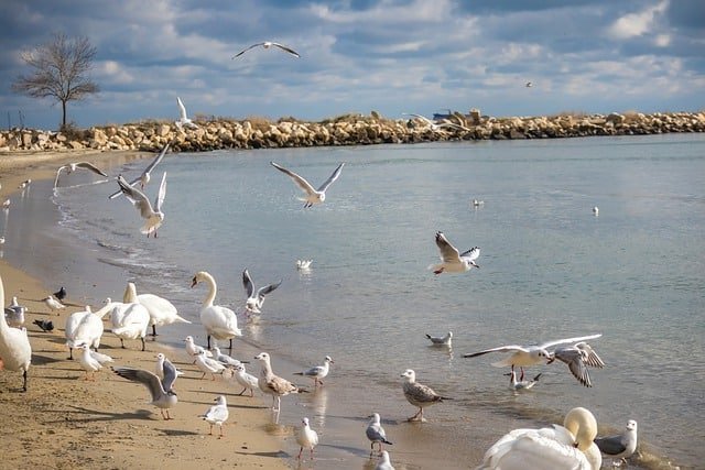 Playas de Varna