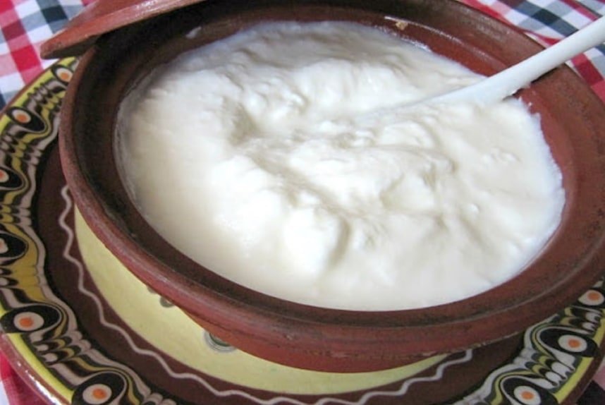 Yogurt Bulgaro