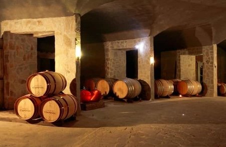 Viñedos y Bodegas