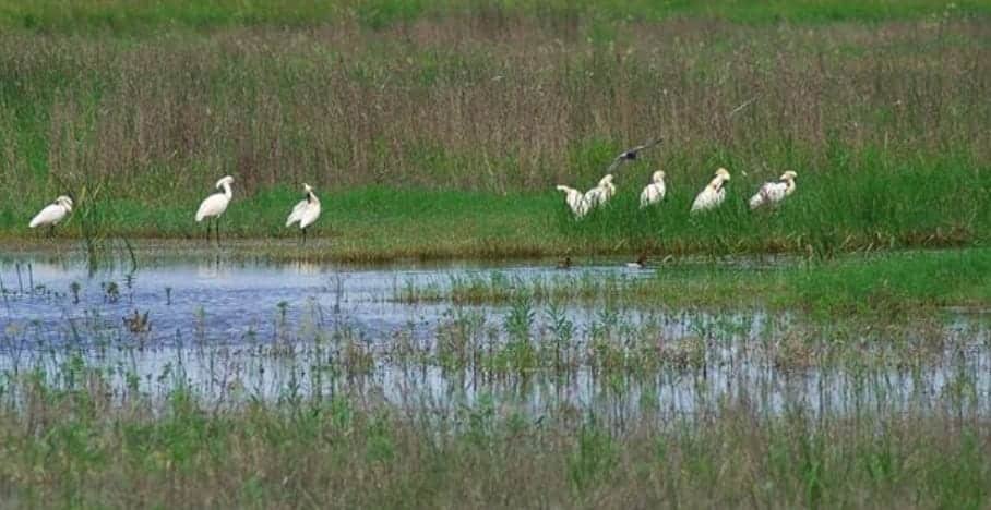 Reserva de Kalimok-Brushlen