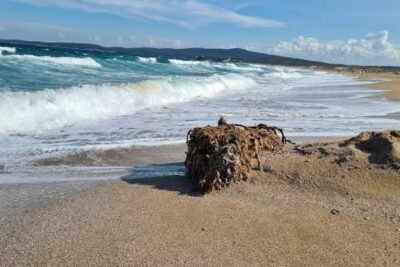 Drivers' Beach o Playa de Alepu: El Último Refugio Salvaje de la Costa Búlgara